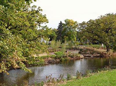 Cottageville Park Creek